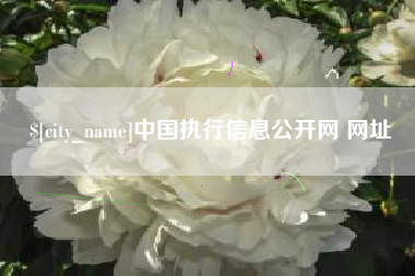 肇东中国执行信息公开网 网址