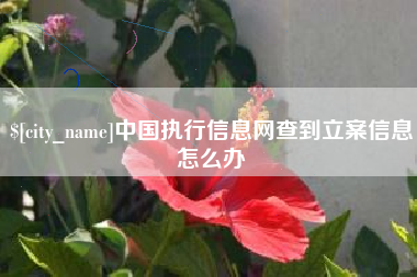 肇东中国执行信息网查到立案信息怎么办