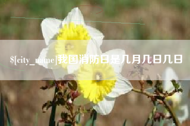 肇东我国消防日是几月几日几日