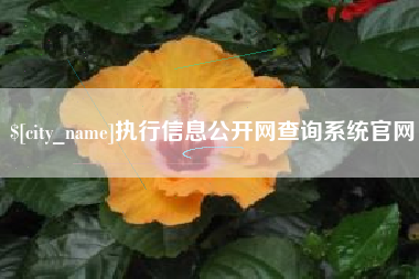 肇东执行信息公开网查询系统官网