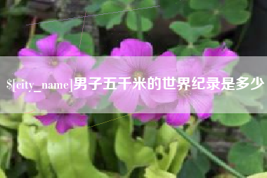 肇东男子五千米的世界纪录是多少