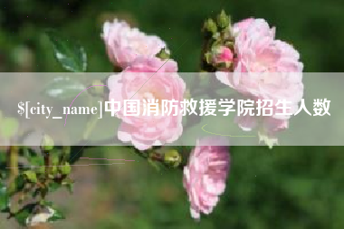 肇东中国消防救援学院招生人数