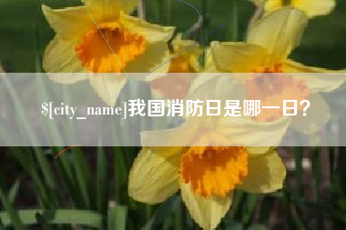 肇东我国消防日是哪一日？