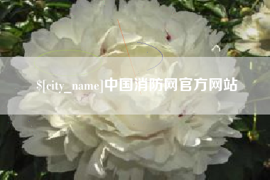 肇东中国消防网官方网站