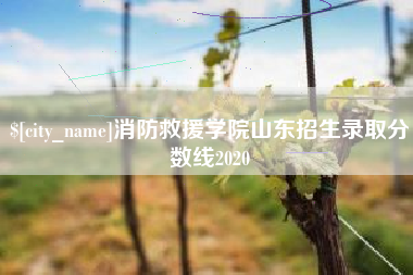 肇东消防救援学院山东招生录取分数线2020