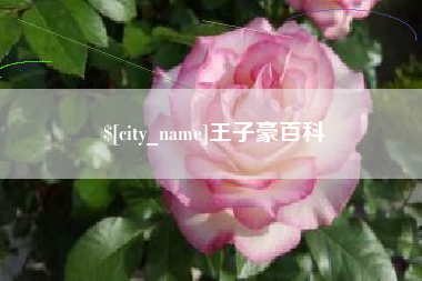 肇东王子豪百科