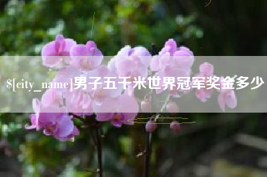 肇东男子五千米世界冠军奖金多少