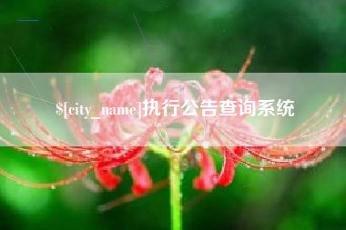 肇东执行公告查询系统