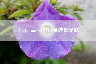 肇东中国金牌都是啥