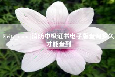 肇东消防中级证书电子版查询多久才能查到