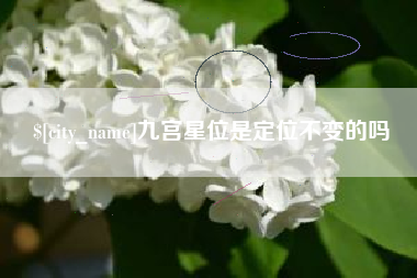 肇东九宫星位是定位不变的吗