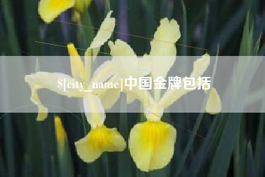 肇东中国金牌包括