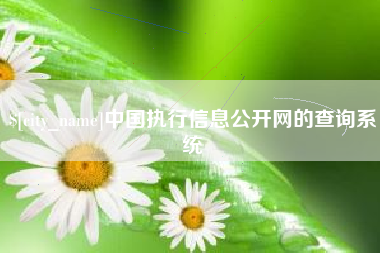 肇东中国执行信息公开网的查询系统