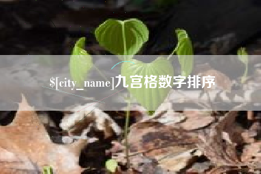 肇东九宫格数字排序