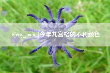 肇东今年九宫格的不利颜色