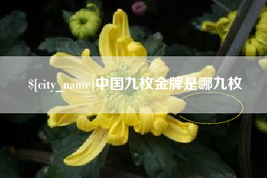 肇东中国九枚金牌是哪九枚