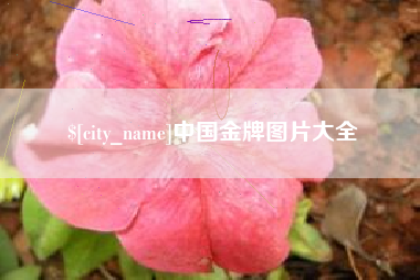 肇东中国金牌图片大全