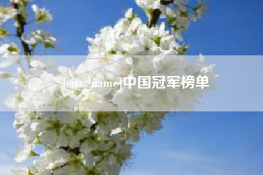 肇东中国冠军榜单