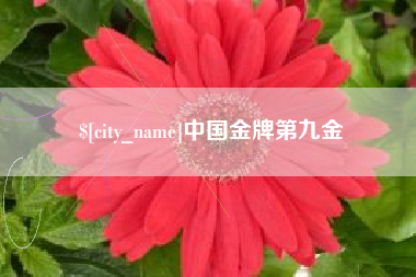 肇东中国金牌第九金