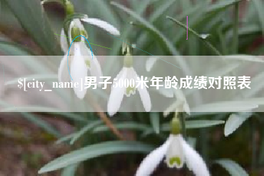 肇东男子5000米年龄成绩对照表