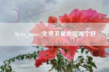 肇东免费卫星地图哪个好