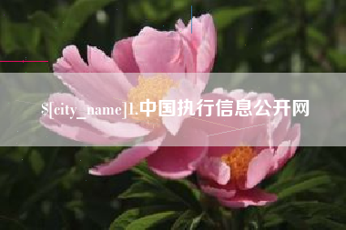 肇东1.中国执行信息公开网