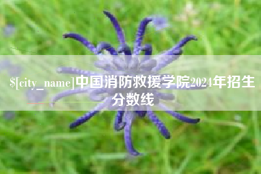 肇东中国消防救援学院2024年招生分数线