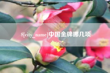 肇东中国金牌哪几项