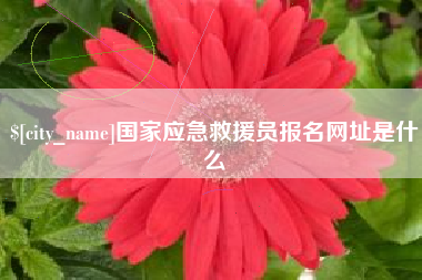 肇东国家应急救援员报名网址是什么