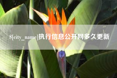 肇东执行信息公开网多久更新