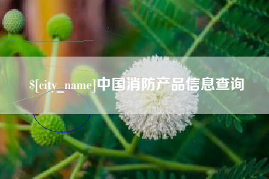 肇东中国消防产品信息查询
