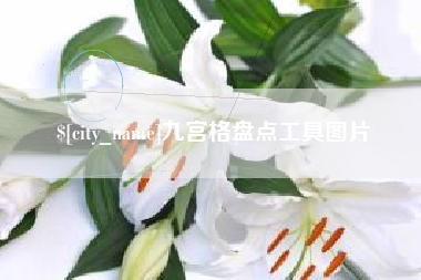 肇东九宫格盘点工具图片