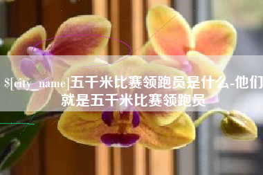肇东五千米比赛领跑员是什么-他们就是五千米比赛领跑员