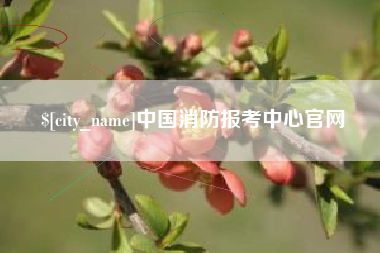 肇东中国消防报考中心官网