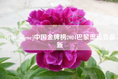 肇东中国金牌榜2024巴黎奥运会最新