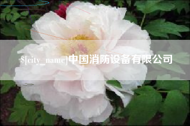 肇东中国消防设备有限公司