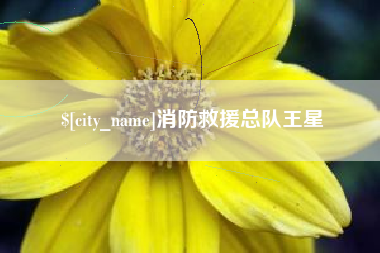 肇东消防救援总队王星