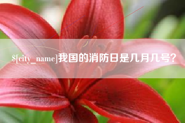 肇东我国的消防日是几月几号？