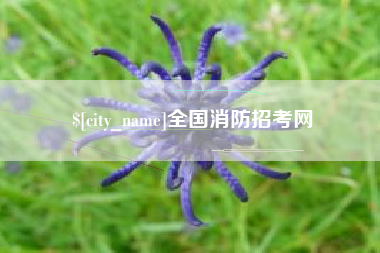 肇东全国消防招考网