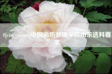 肇东中国消防救援学院山东选科要求