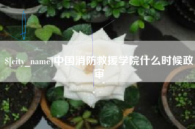 肇东中国消防救援学院什么时候政审