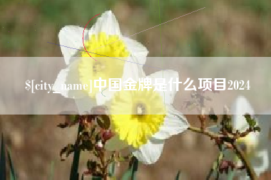 肇东中国金牌是什么项目2024