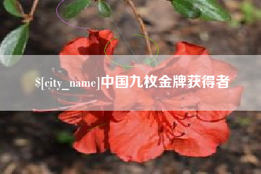 肇东中国九枚金牌获得者