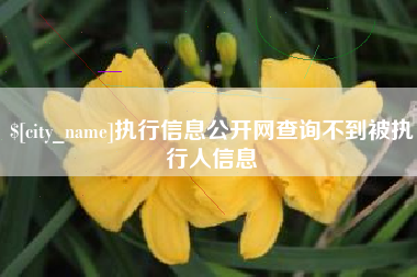 肇东执行信息公开网查询不到被执行人信息