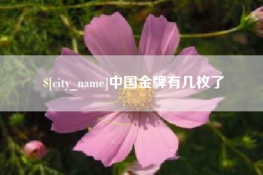 肇东中国金牌有几枚了