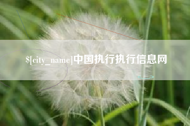 肇东中国执行执行信息网