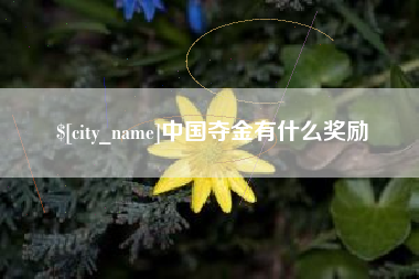 肇东中国夺金有什么奖励
