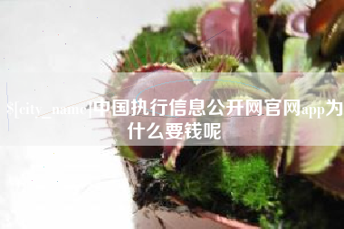 肇东中国执行信息公开网官网app为什么要钱呢