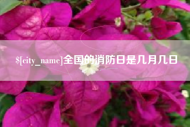 肇东全国的消防日是几月几日
