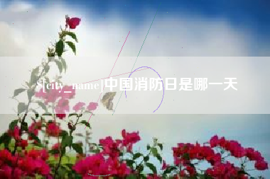 肇东中国消防日是哪一天